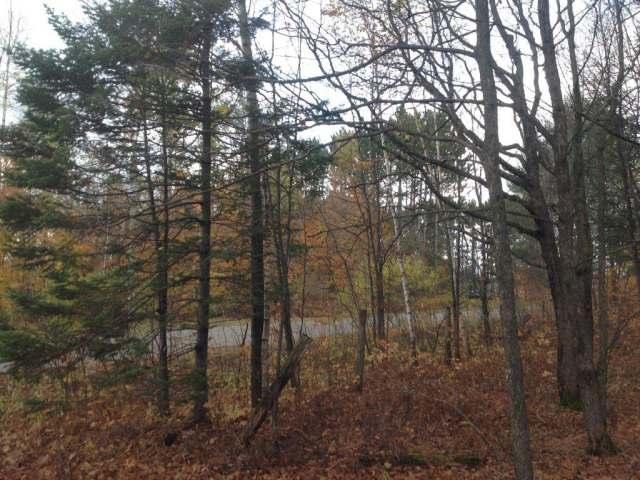 Three Winkler Road, Unit LOT 2 Three Lakes, WI 54562 - Photo 3 of 8 Gallery Image 3