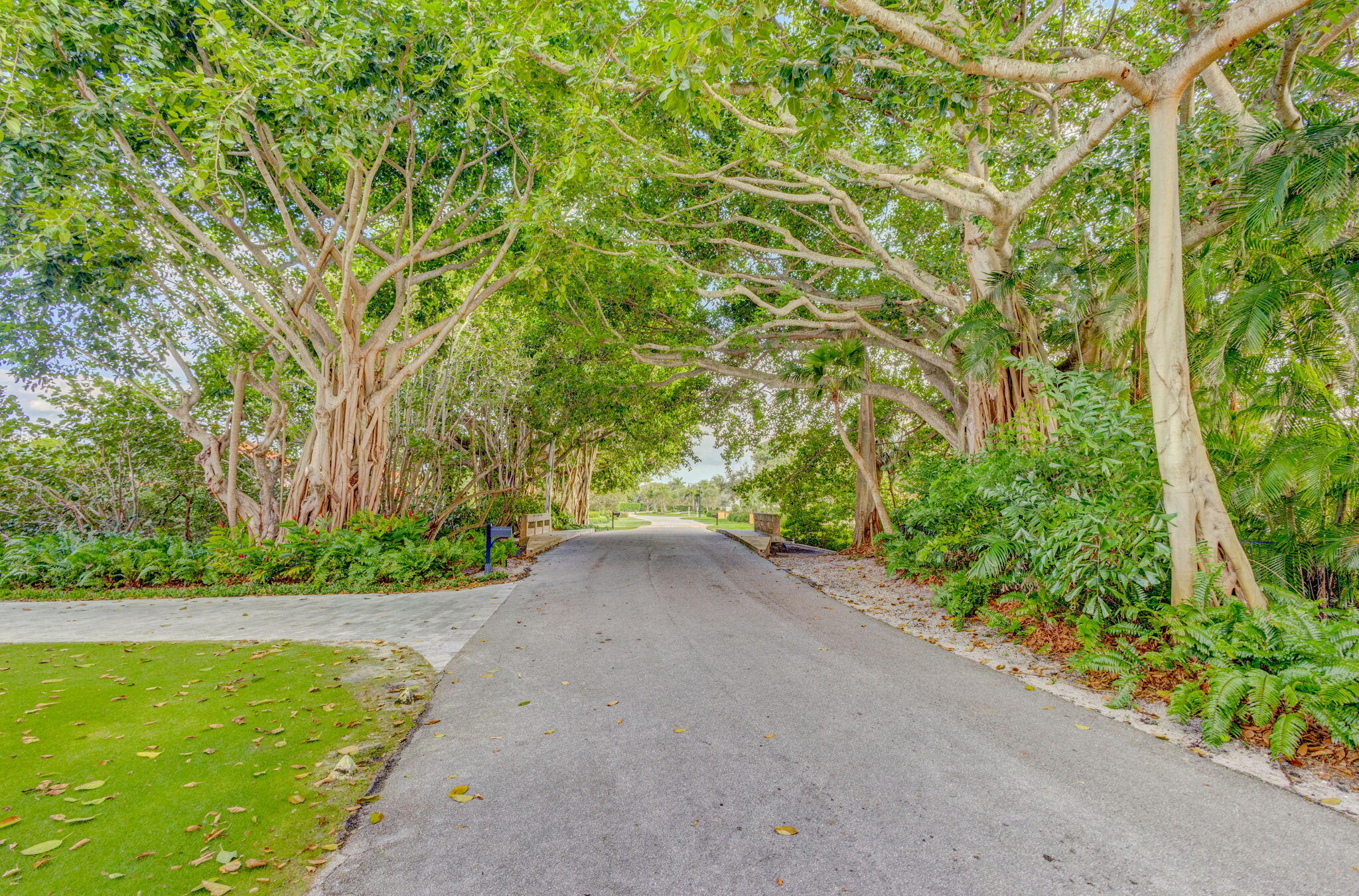 12404 Indian Road North Palm Beach, FL 33408 - Photo 10 of 19 5-web-or-mls-5D1A3893JS