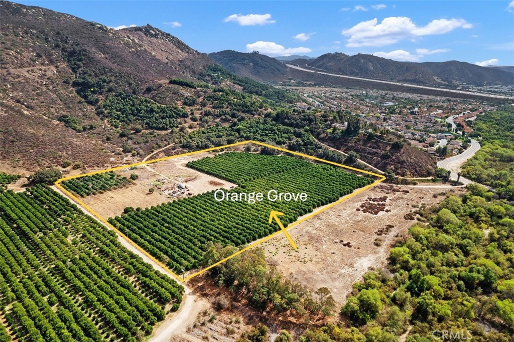 3264 Shearer Crossing Fallbrook, CA 92028 - Photo 26 of 41 Orange Grove