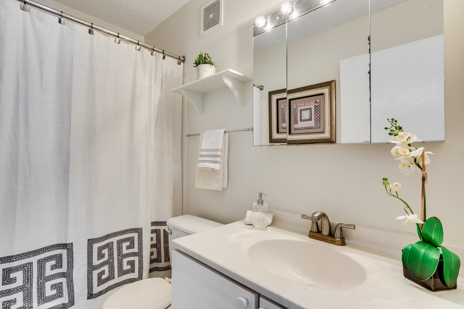 111 West Maple Street, Unit 2703 Chicago, IL 60610 - Photo 11 of 14 a bathroom with a sink and a mirror