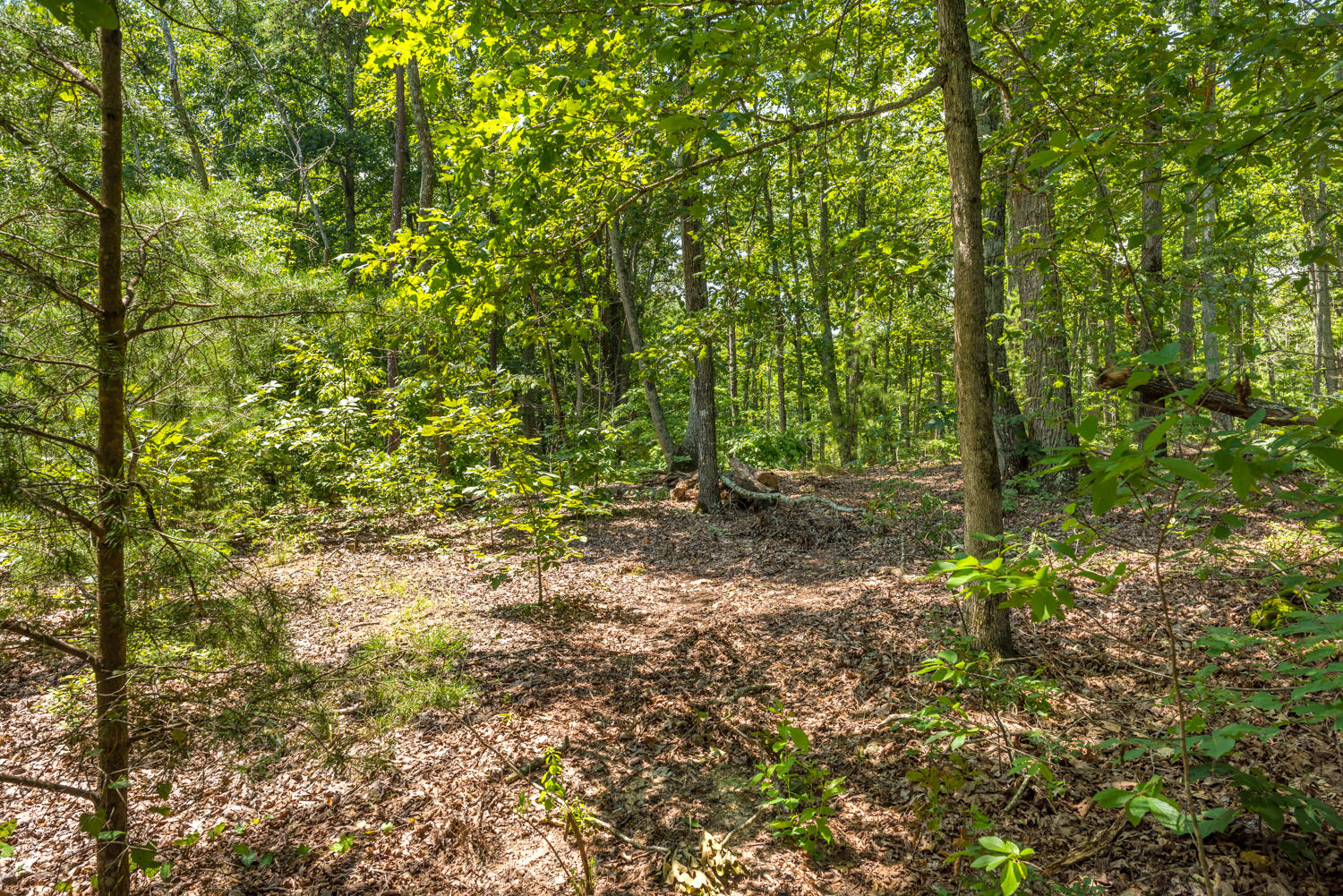 8375 Frontage Road Northwest Cleveland, TN 37312 - Photo 20 of 25 1592E4D1-1DE3-42D7-9E77-30B463961F4D