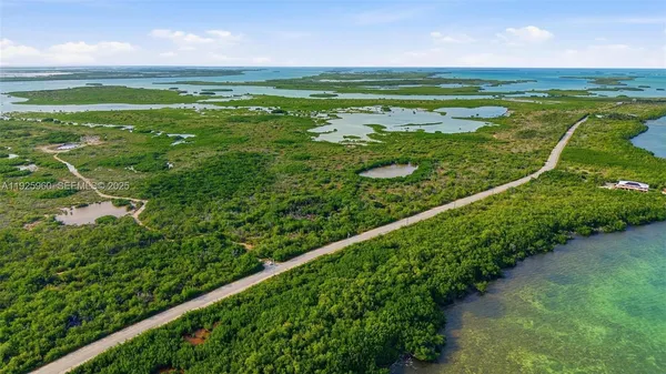 a view of a field with an ocean