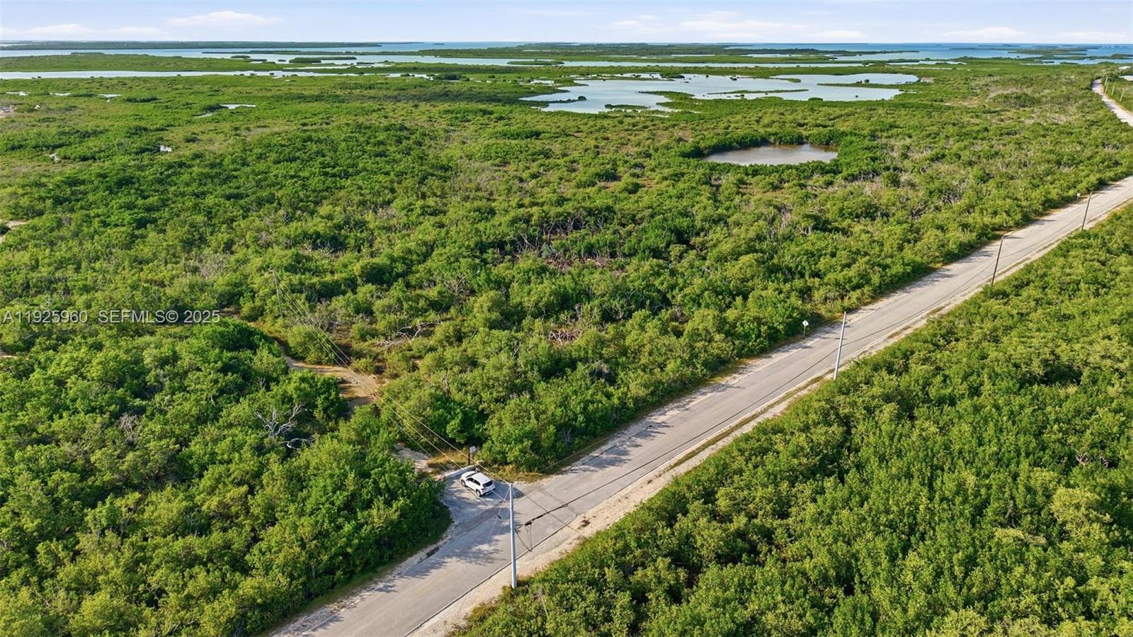 0 Niles Road Summerland Key, FL 33042 - Photo 18 of 36 a view of a field with an ocean