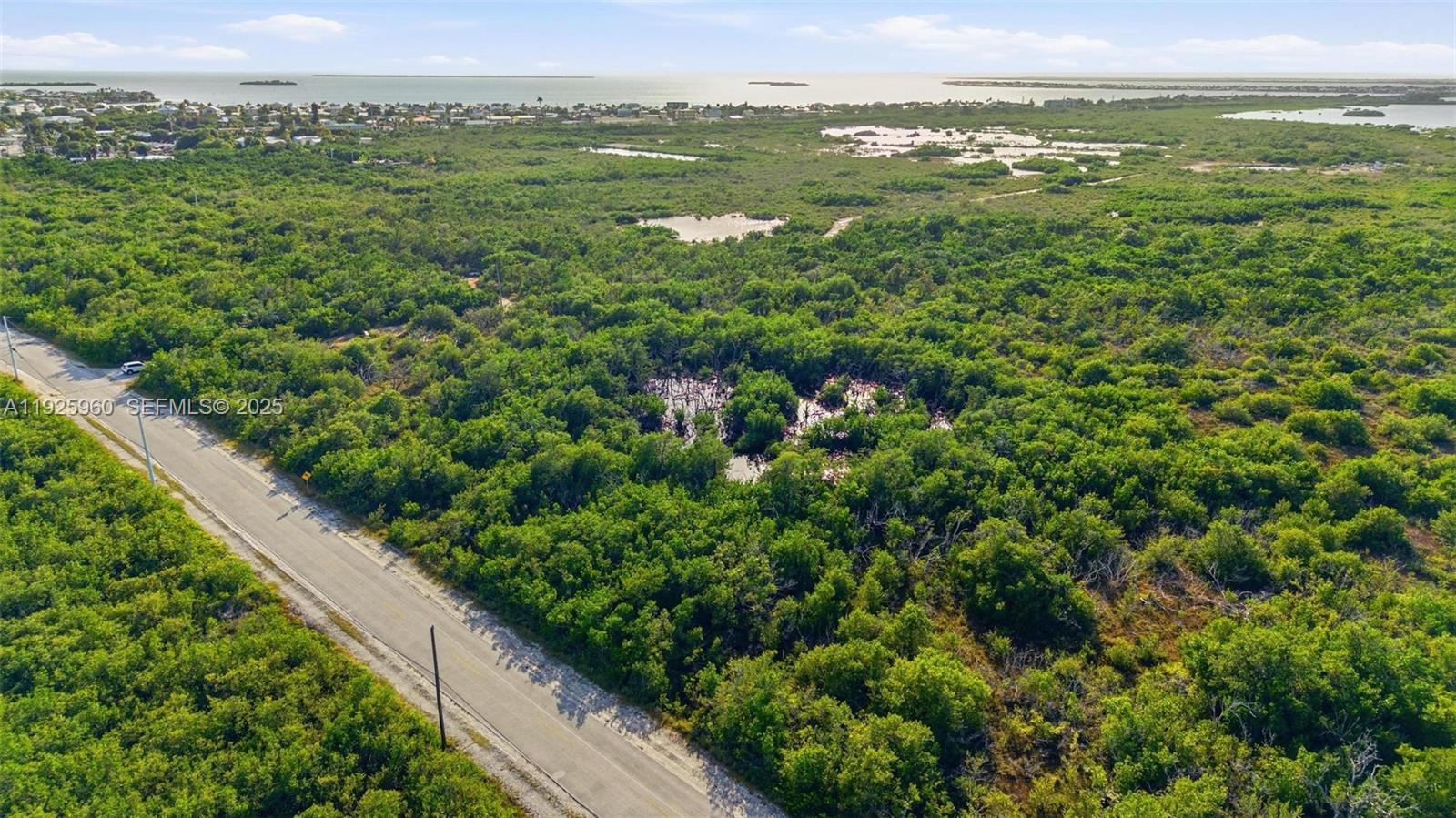0 Niles Road Summerland Key, FL 33042 - Photo 20 of 36 a view of a city with lush green forest