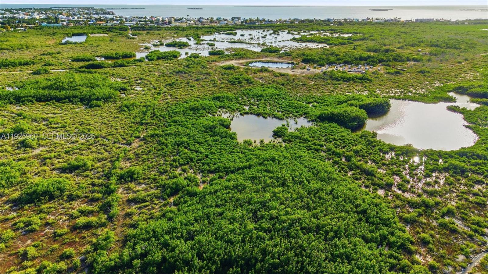 0 Niles Road Summerland Key, FL 33042 - Photo 22 of 36 an aerial view of residential houses with outdoor space and trees