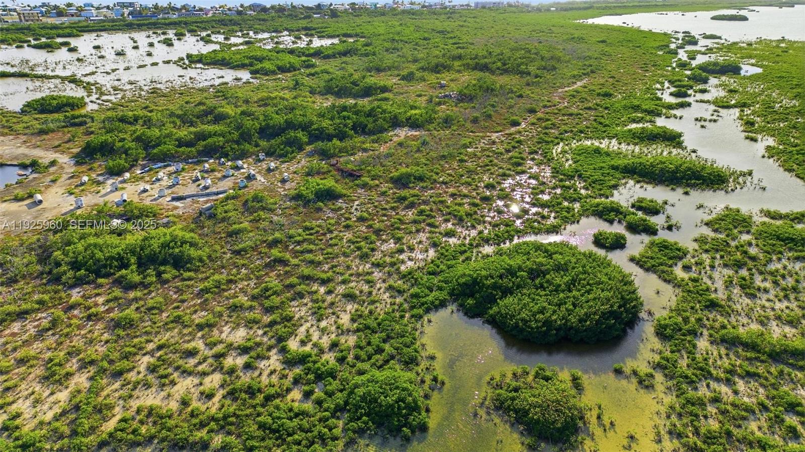 0 Niles Road Summerland Key, FL 33042 - Photo 23 of 36 a view of a garden with a tree