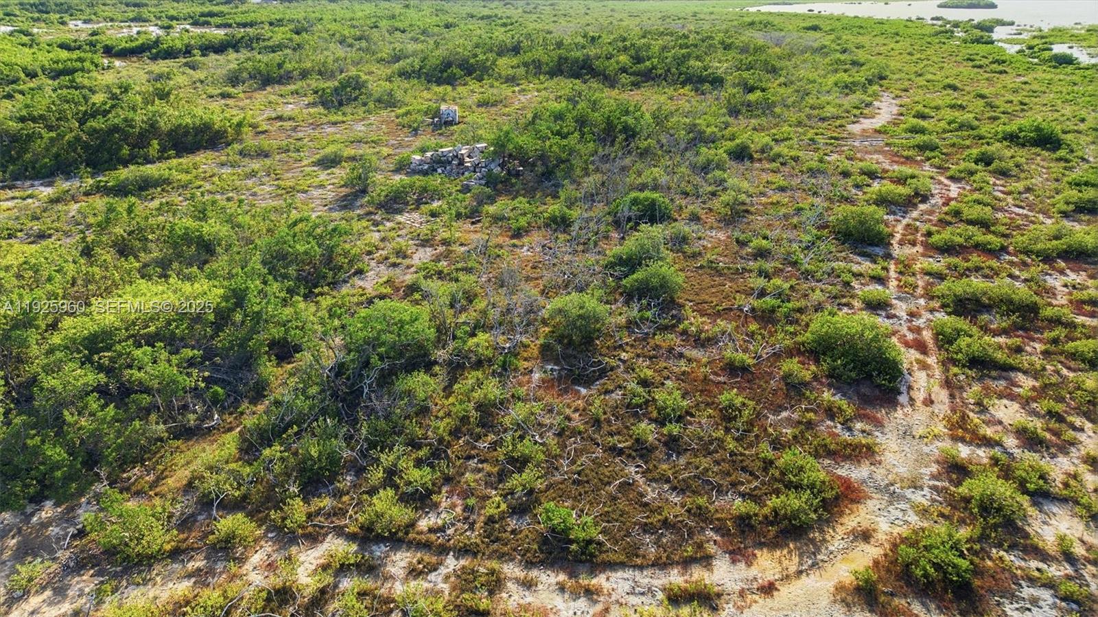 0 Niles Road Summerland Key, FL 33042 - Photo 25 of 36 a view of a field of grass and trees