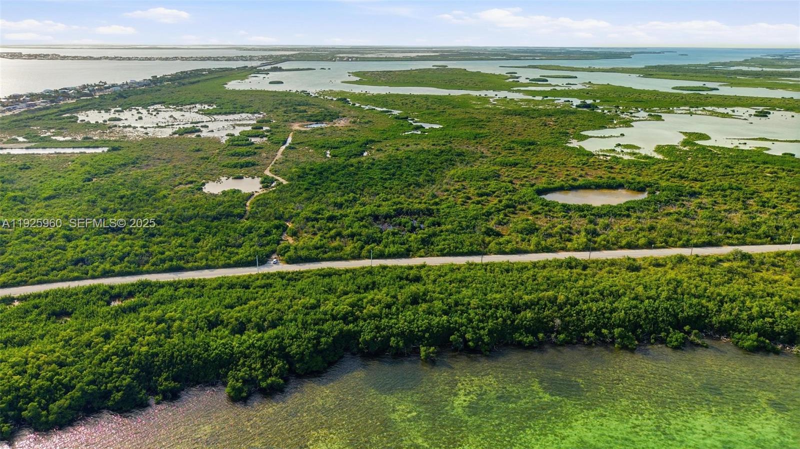 0 Niles Road Summerland Key, FL 33042 - Photo 3 of 36 a view of a green field with lots of green space