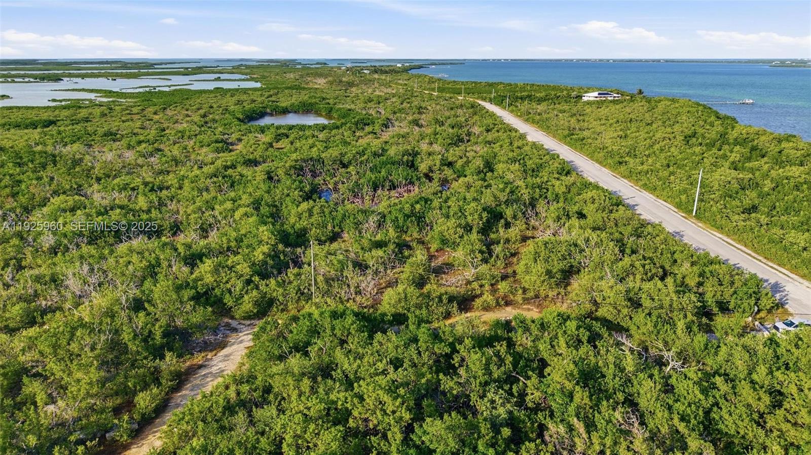 0 Niles Road Summerland Key, FL 33042 - Photo 36 of 36 a view of a field with an ocean view