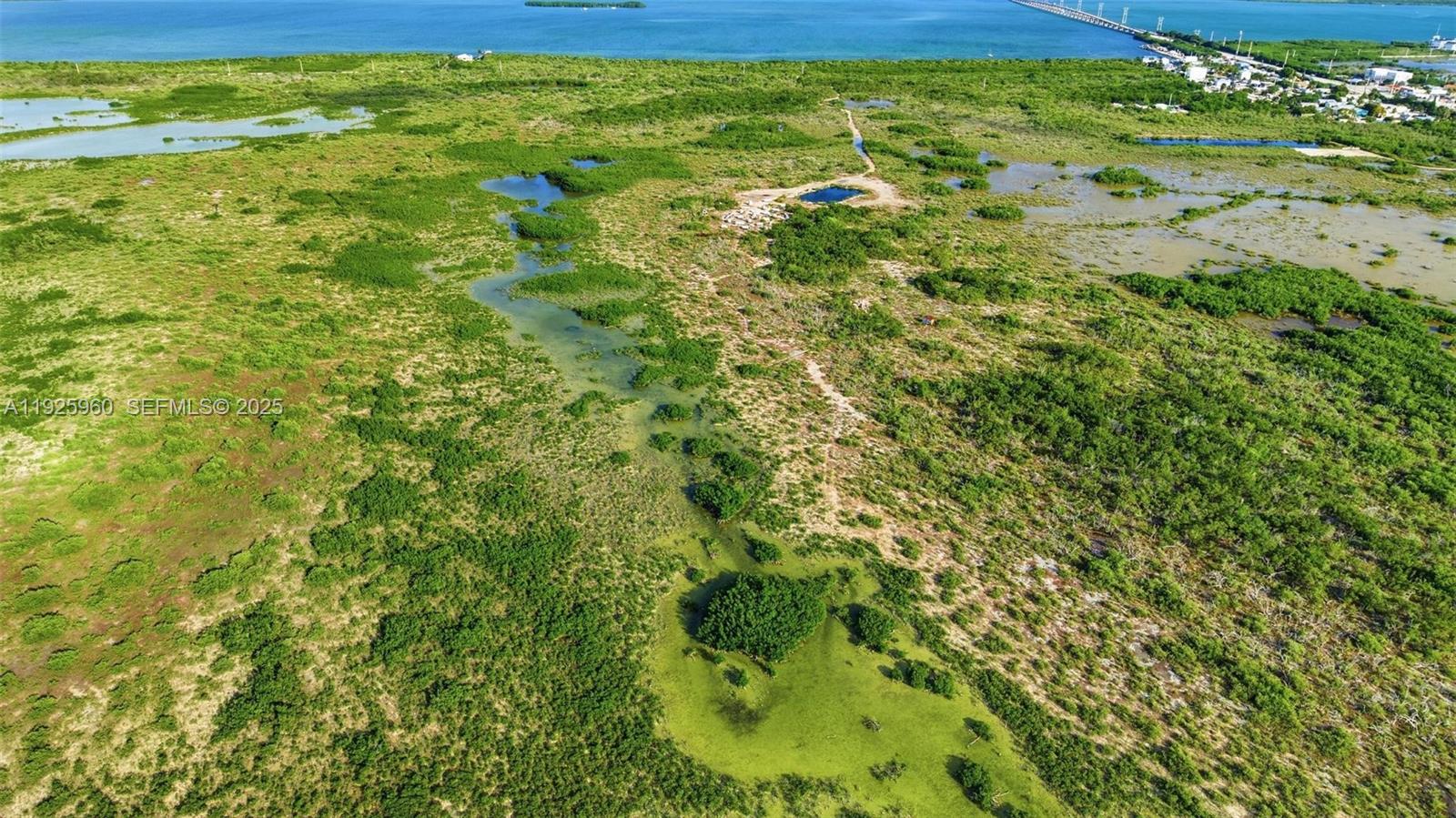 0 Niles Road Summerland Key, FL 33042 - Photo 9 of 36 a view of a big yard