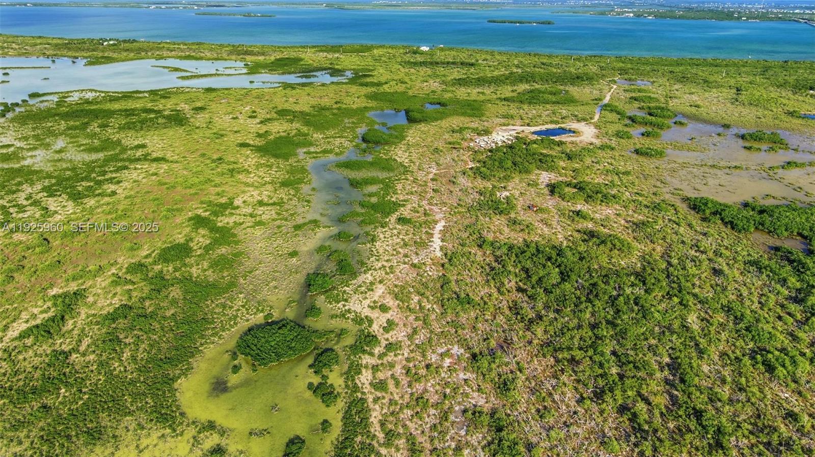 0 Niles Road Summerland Key, FL 33042 - Photo 10 of 36 a view of a yard
