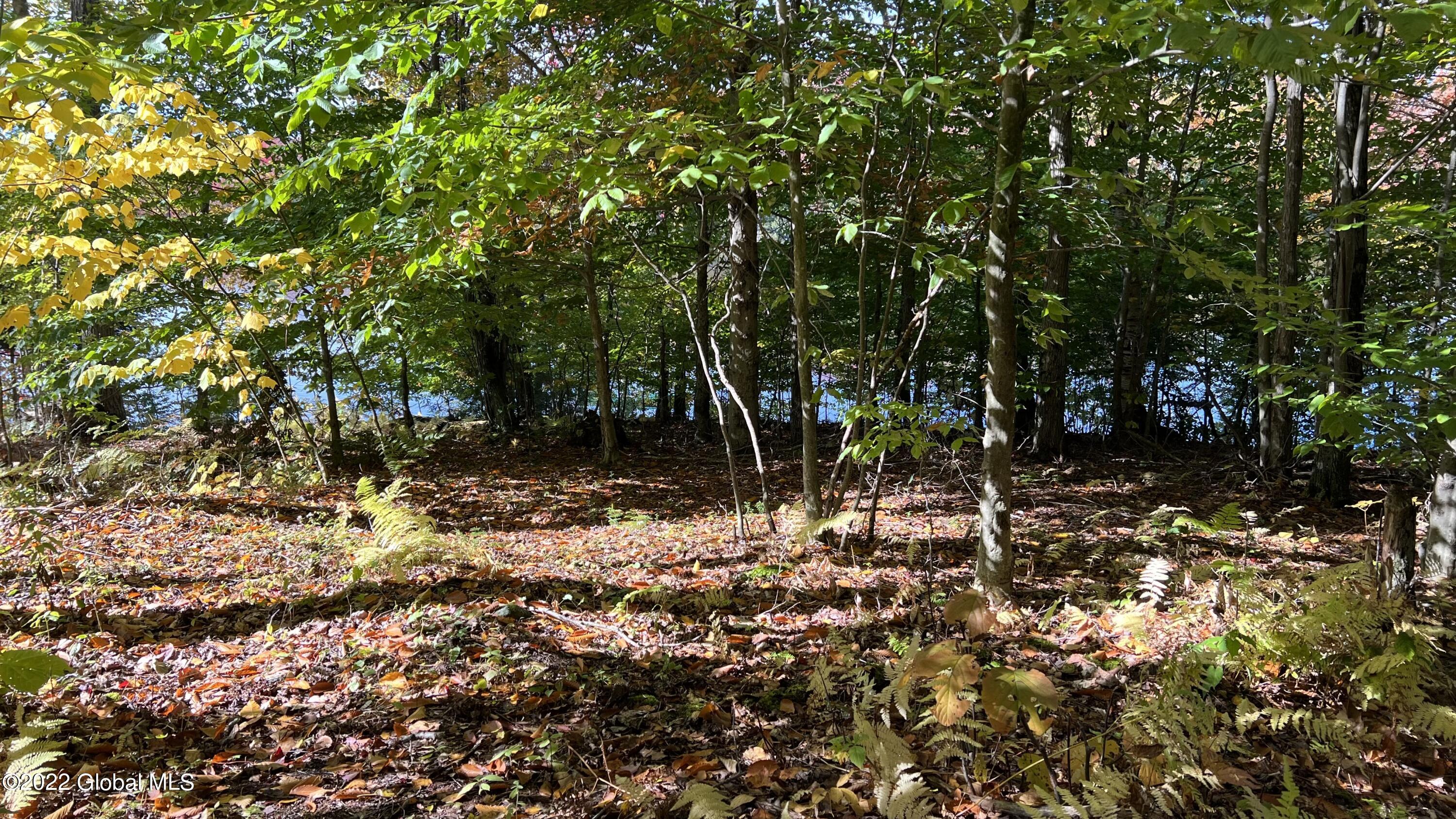 551 Maple Street Petersburg, NY 12138 - Photo 13 of 58 IMG_8424