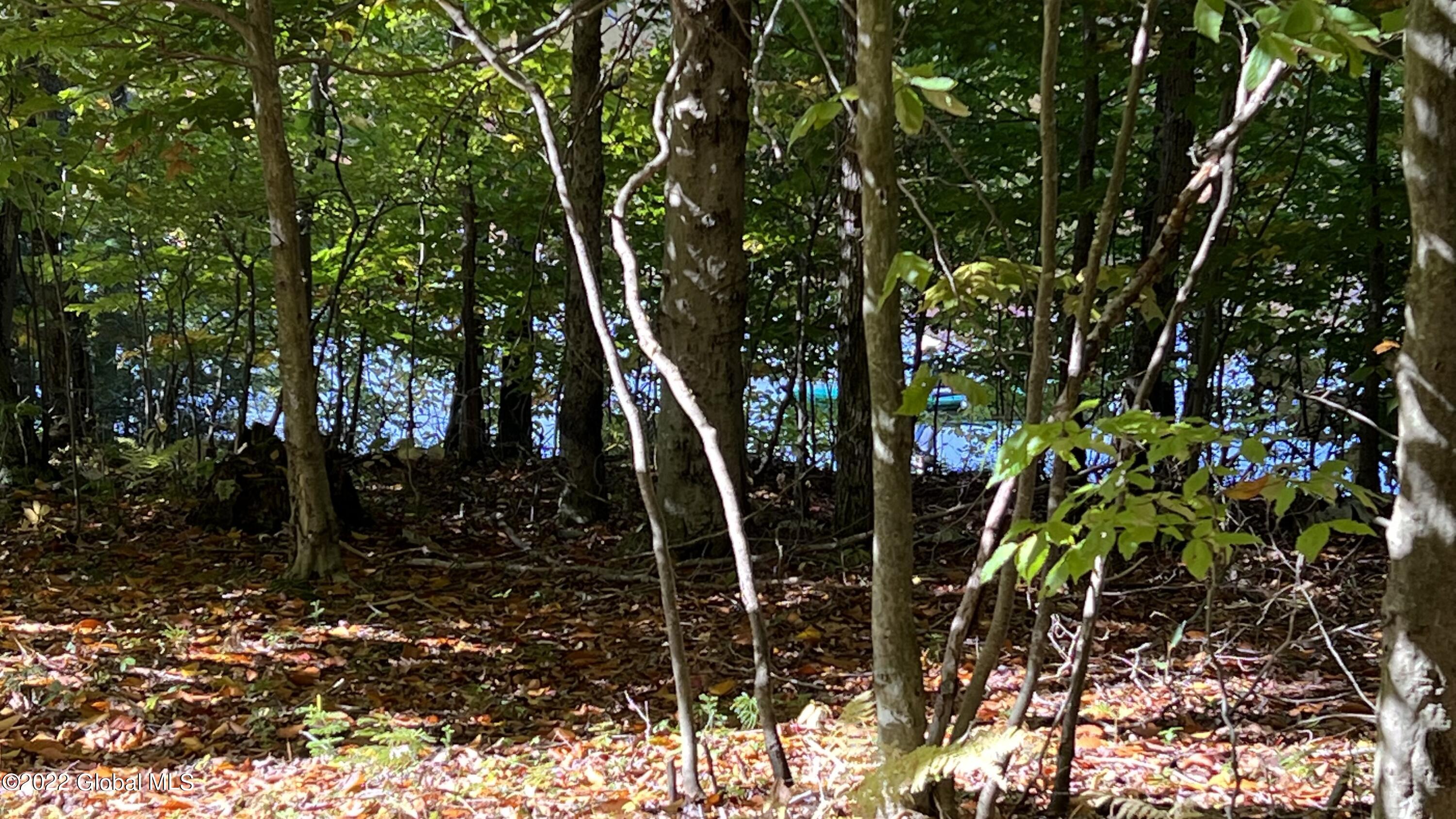 551 Maple Street Petersburg, NY 12138 - Photo 14 of 58 IMG_8427