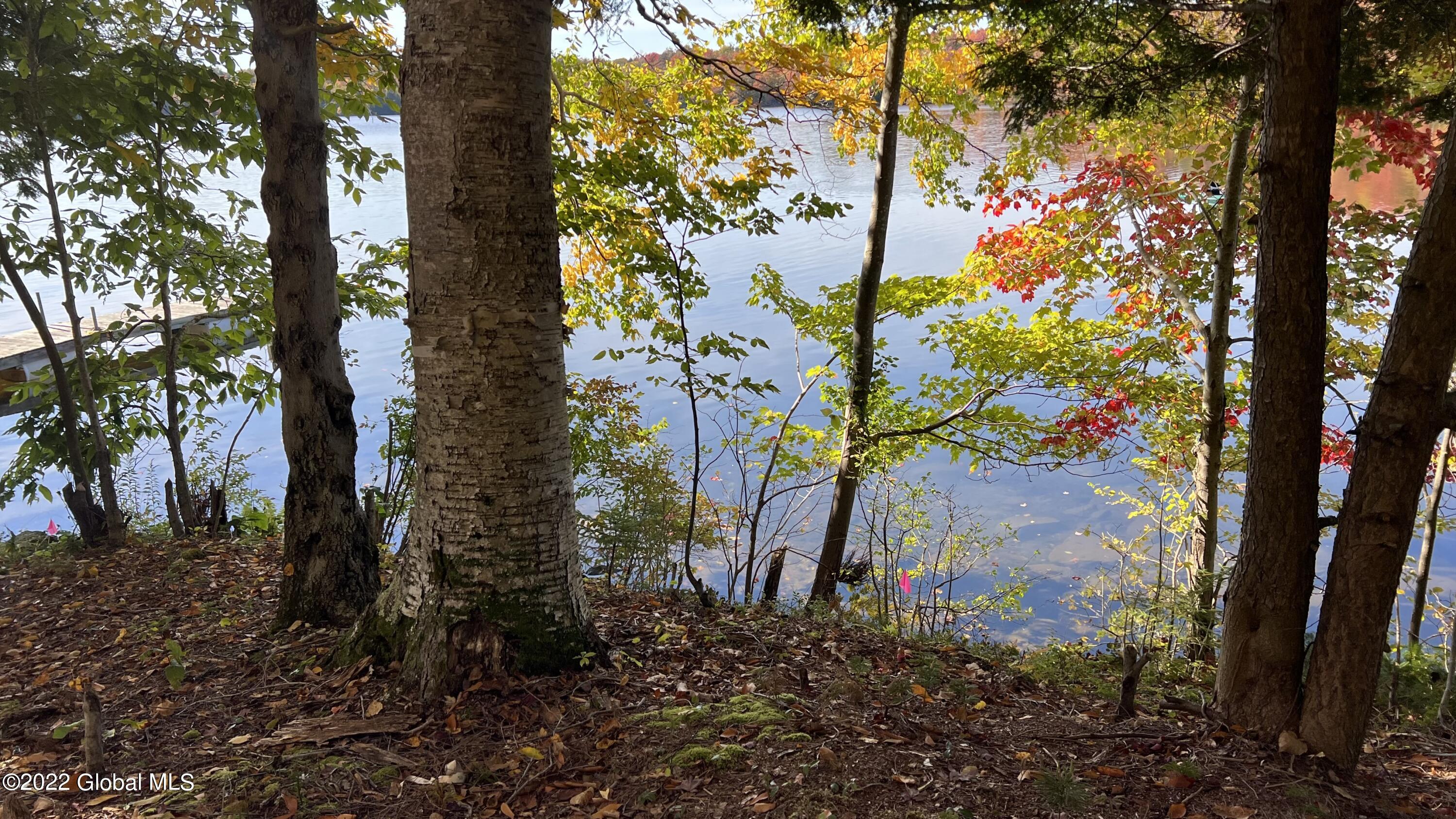 551 Maple Street Petersburg, NY 12138 - Photo 16 of 58 IMG_8429