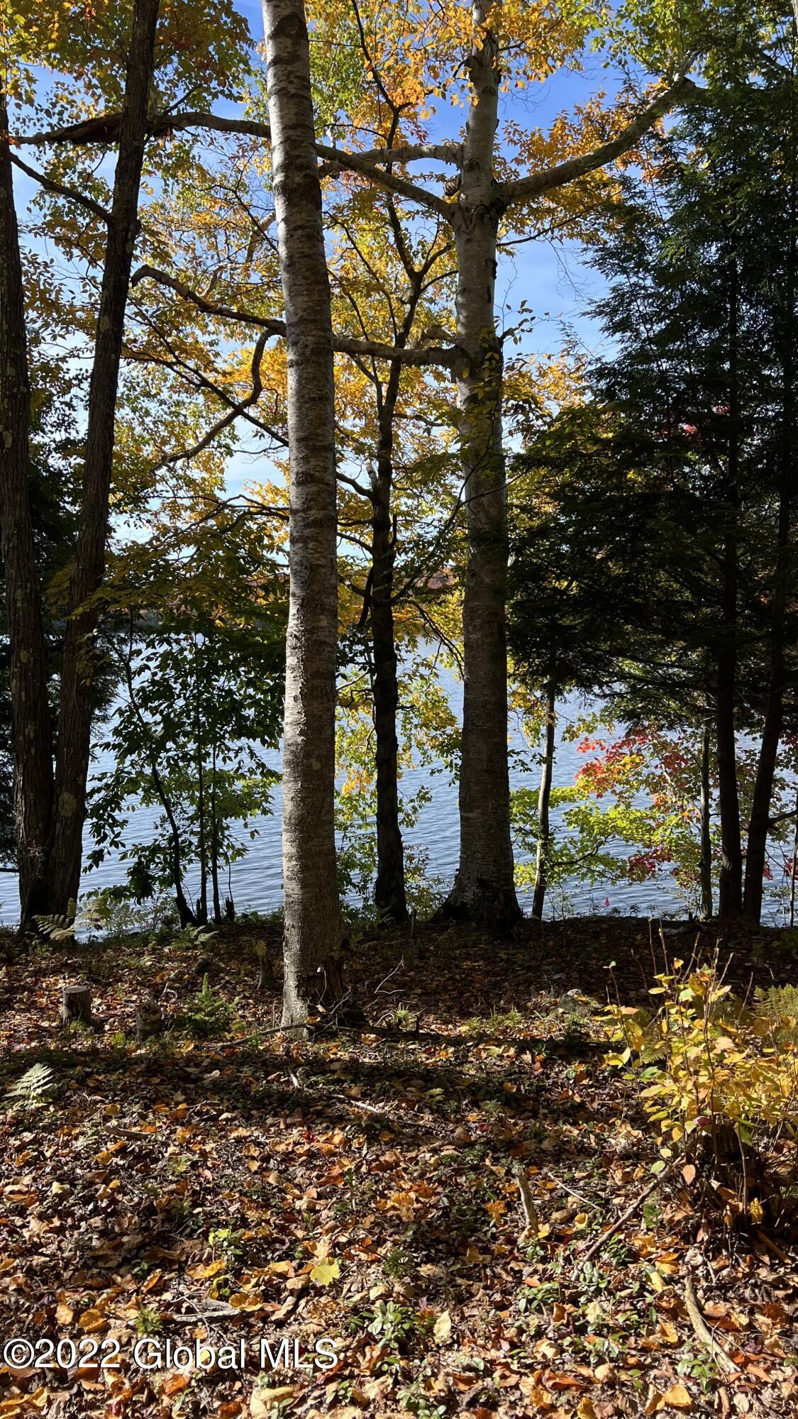 551 Maple Street Petersburg, NY 12138 - Photo 20 of 58 IMG_8449