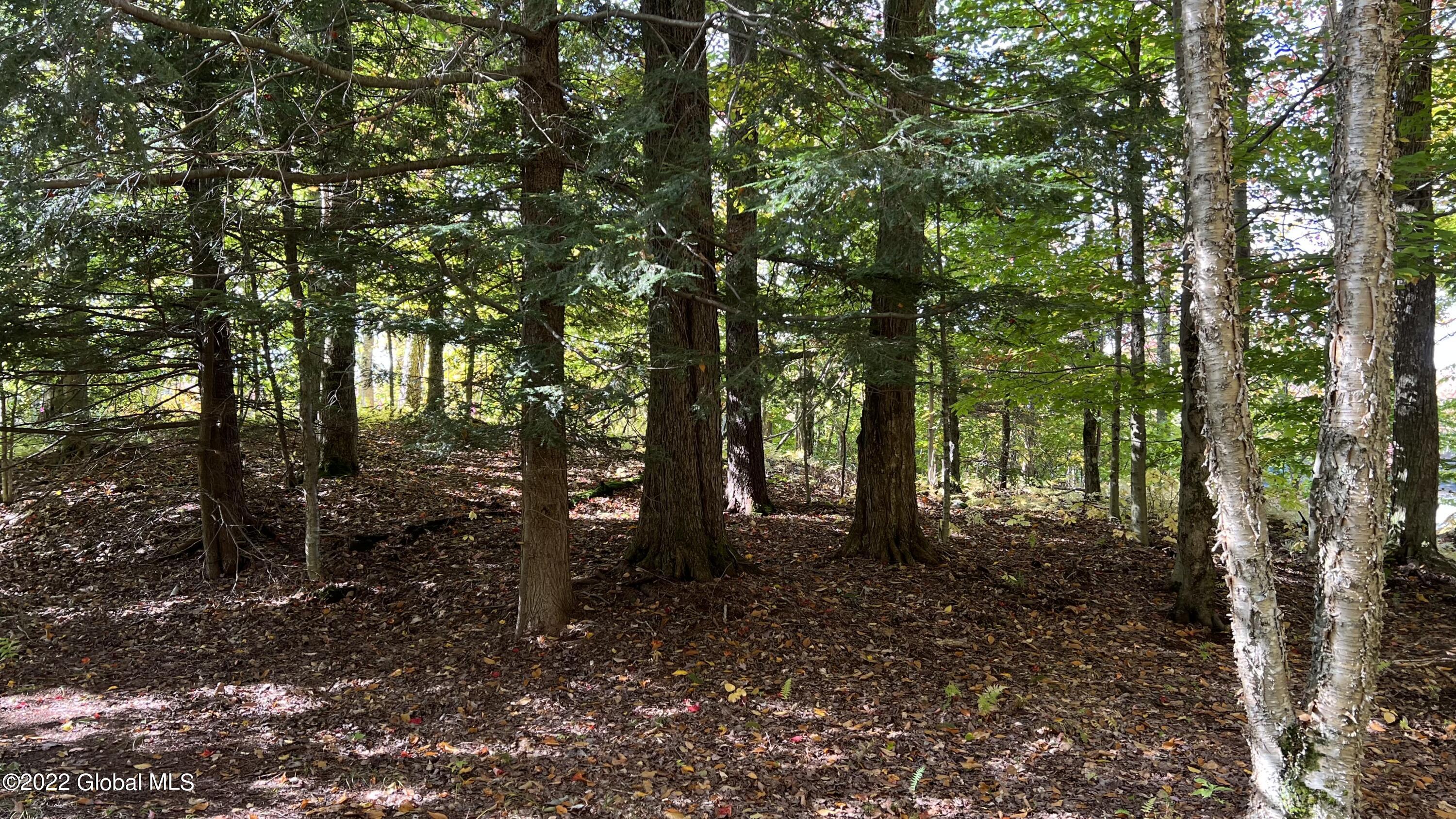 551 Maple Street Petersburg, NY 12138 - Photo 22 of 58 IMG_8460