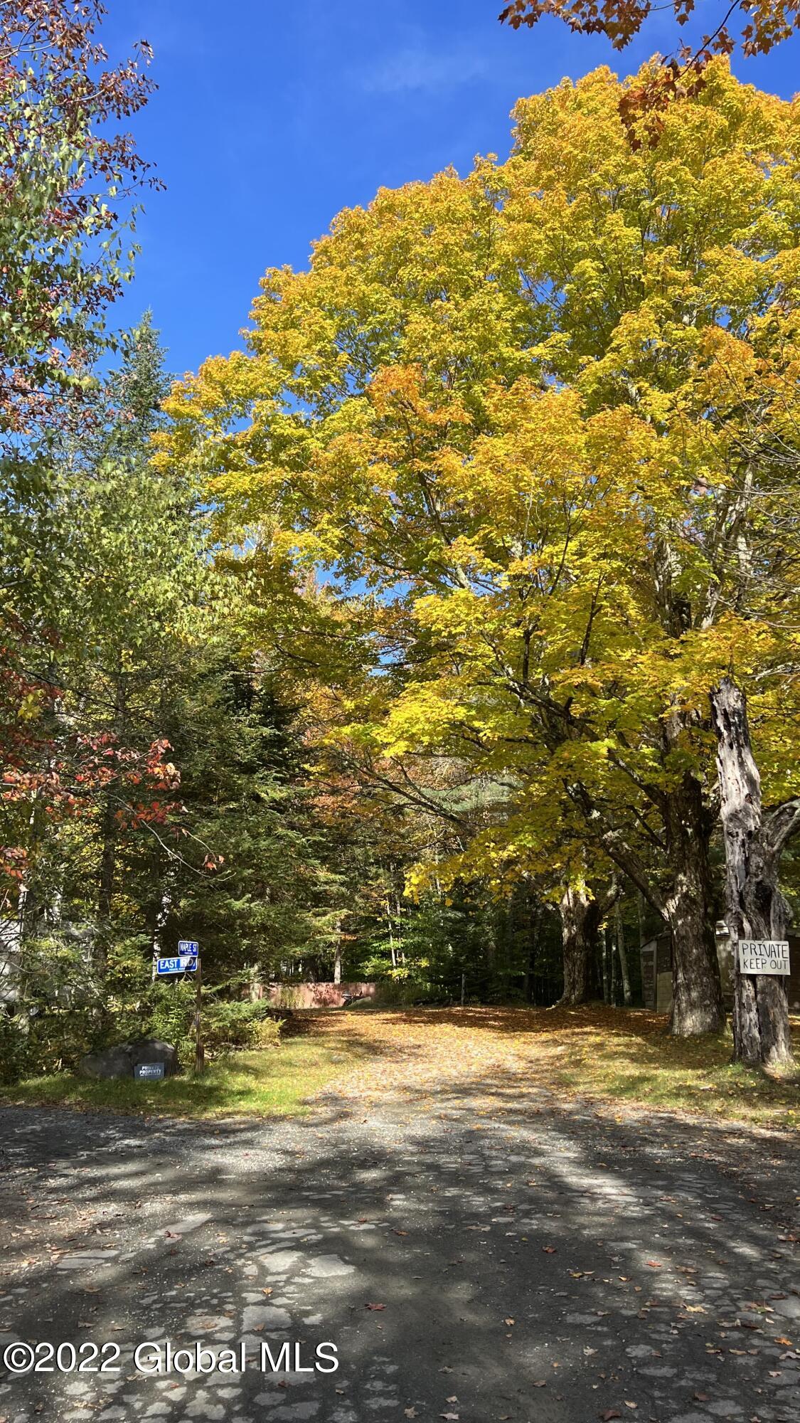 551 Maple Street Petersburg, NY 12138 - Photo 23 of 58 IMG_8463