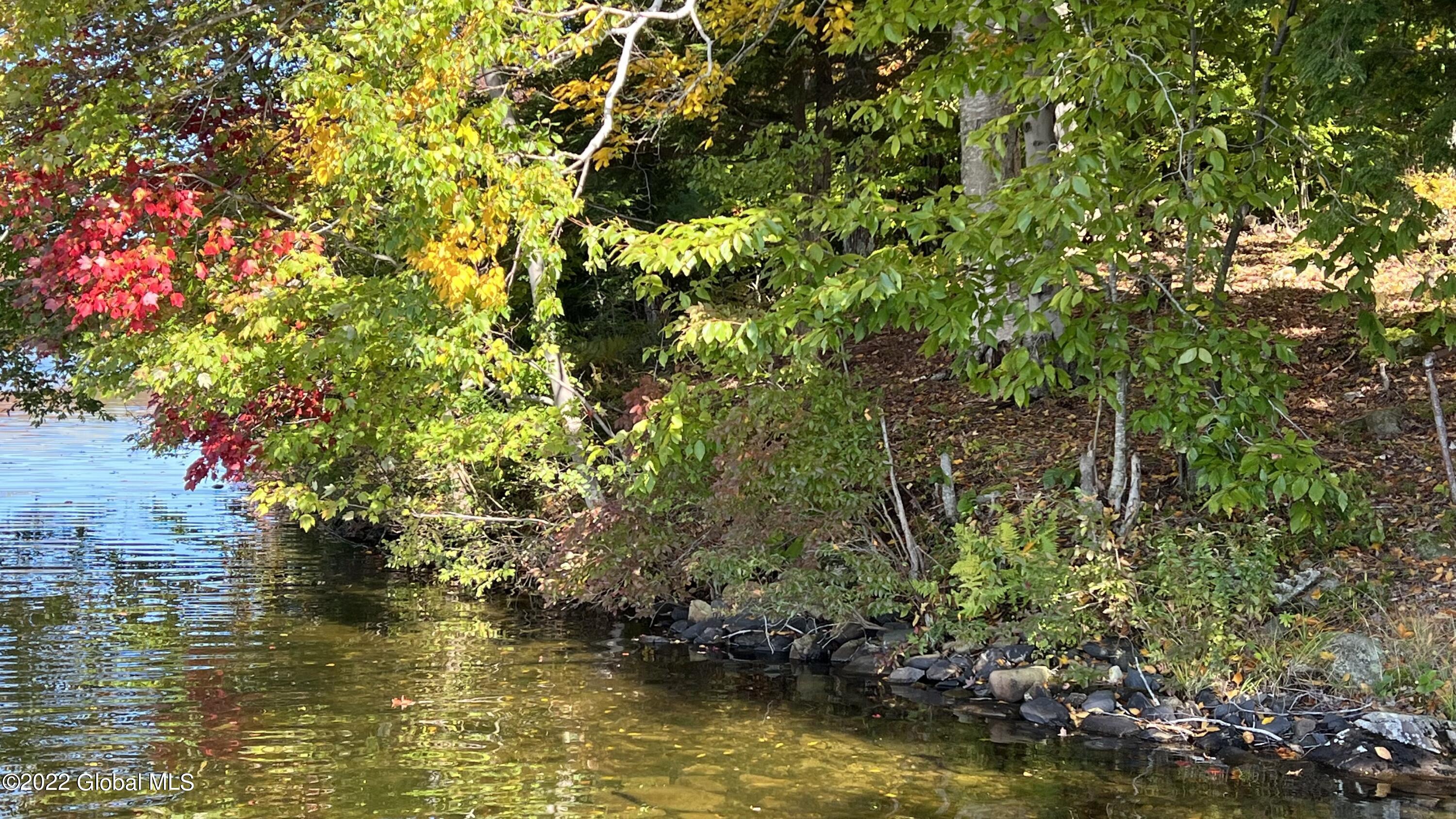 551 Maple Street Petersburg, NY 12138 - Photo 29 of 58 IMG_8440