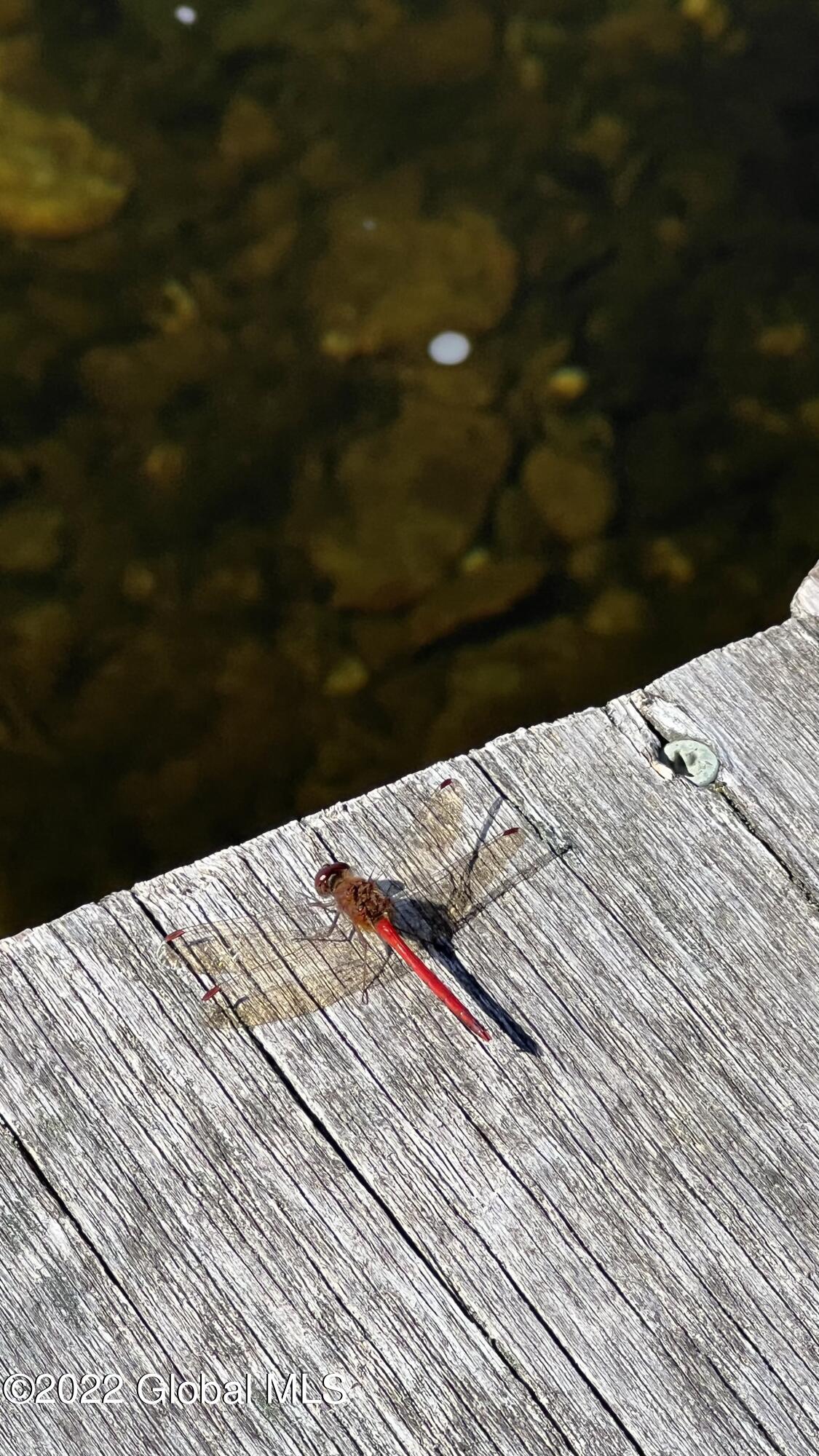 551 Maple Street Petersburg, NY 12138 - Photo 40 of 58 IMG_7987