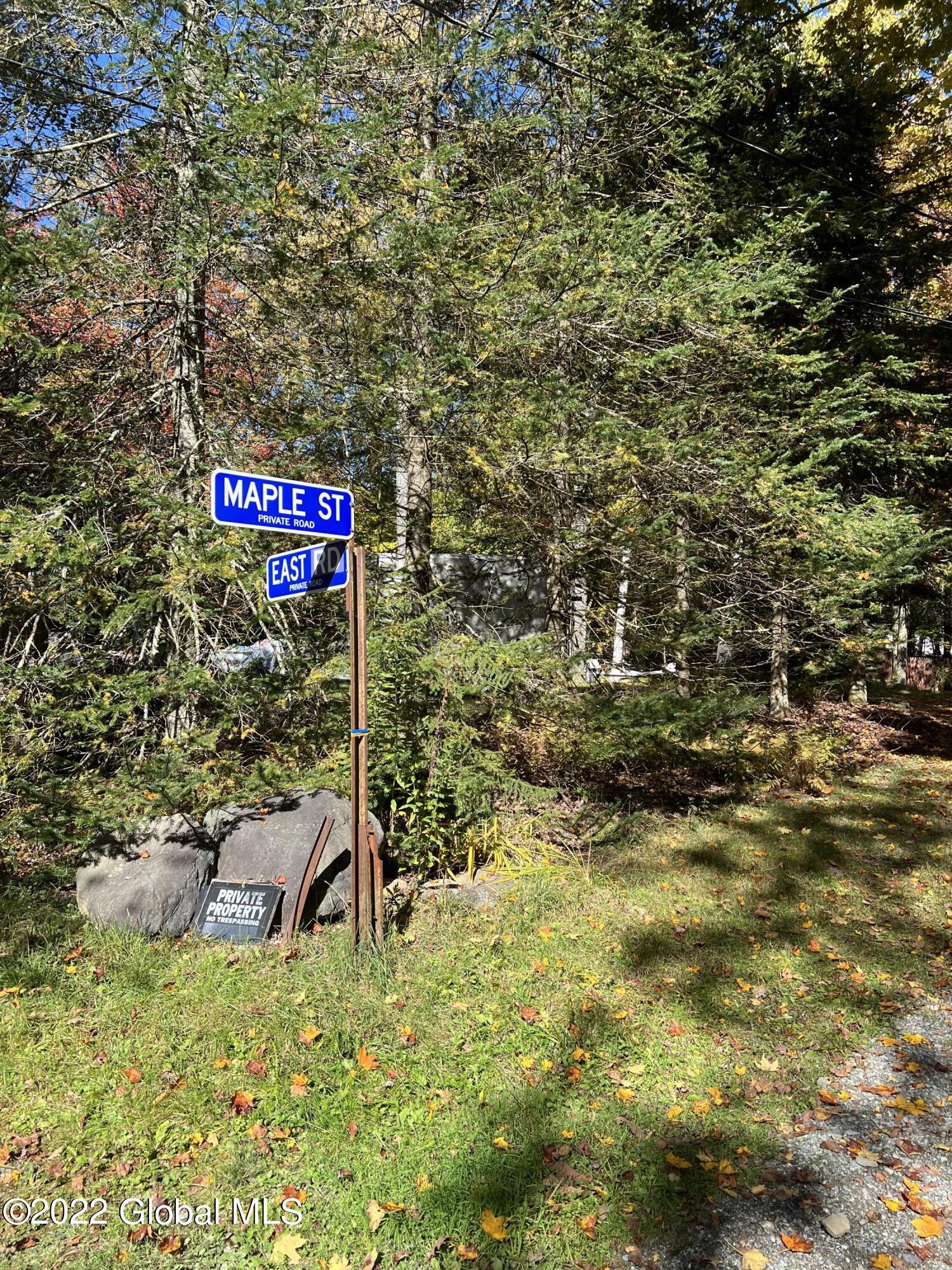 551 Maple Street Petersburg, NY 12138 - Photo 9 of 58 IMG_8412