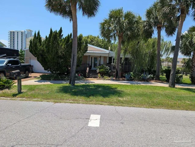 a view of backyard with plants and palm trees