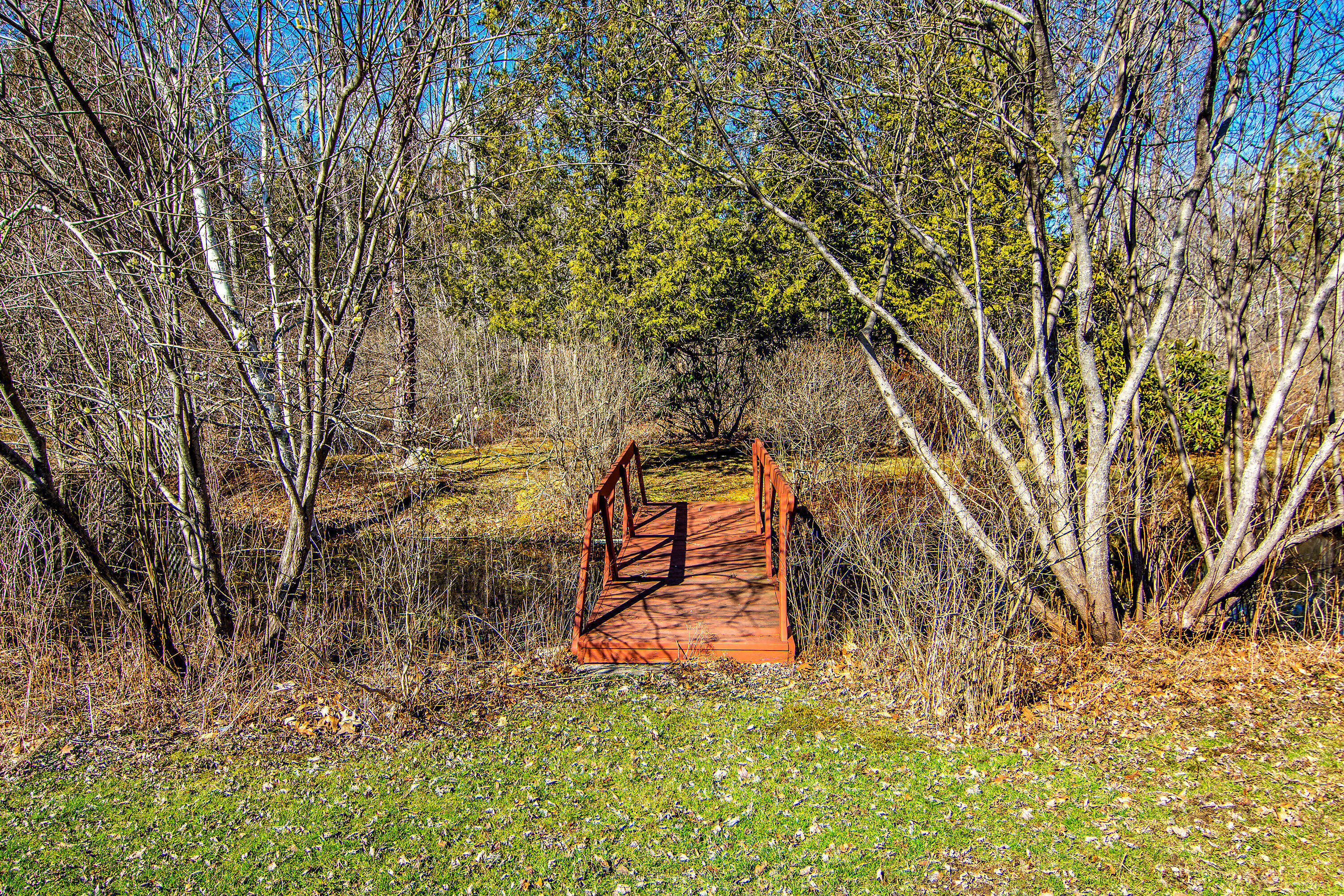 251 Reach Road Sedgwick, ME 04676 - Photo 27 of 48 251 Reach Road Sedgwick ME-print-050-050