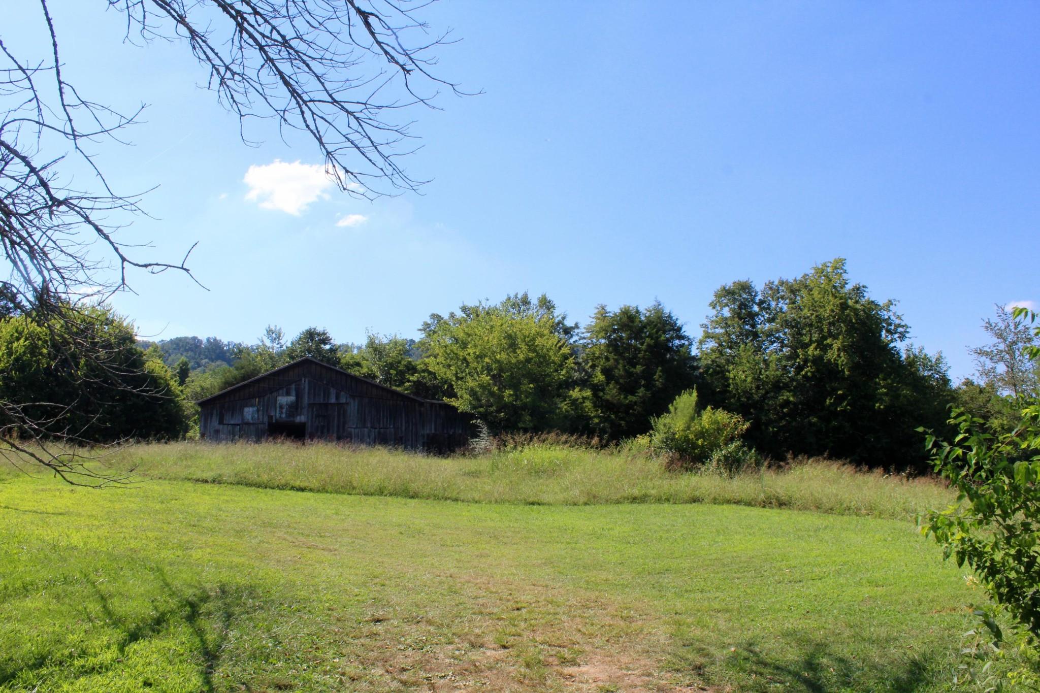 10121 Rutledge Pike Corryton, TN 37721 - Photo 7 of 11 a view of outdoor space and yard