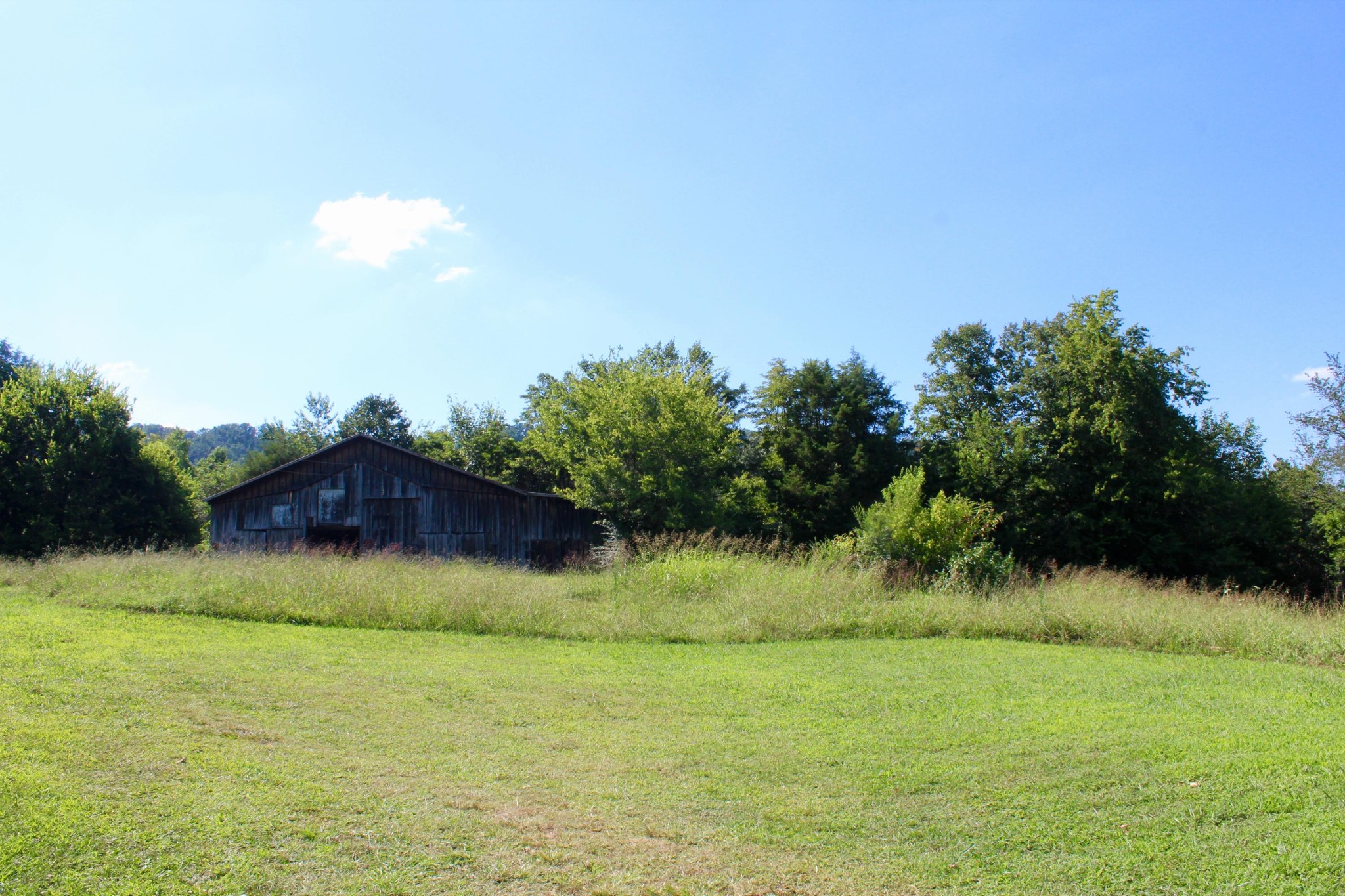 10121 Rutledge Pike Corryton, TN 37721 - Photo 8 of 11 a view of a lake