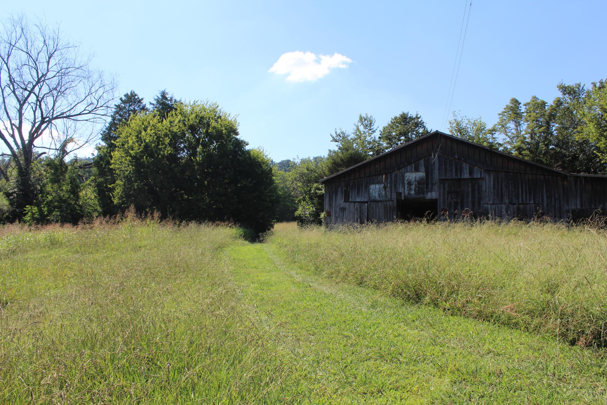 10121 Rutledge Pike Corryton, TN 37721 - Photo 10 of 11 a backyard of a house with lots of green space