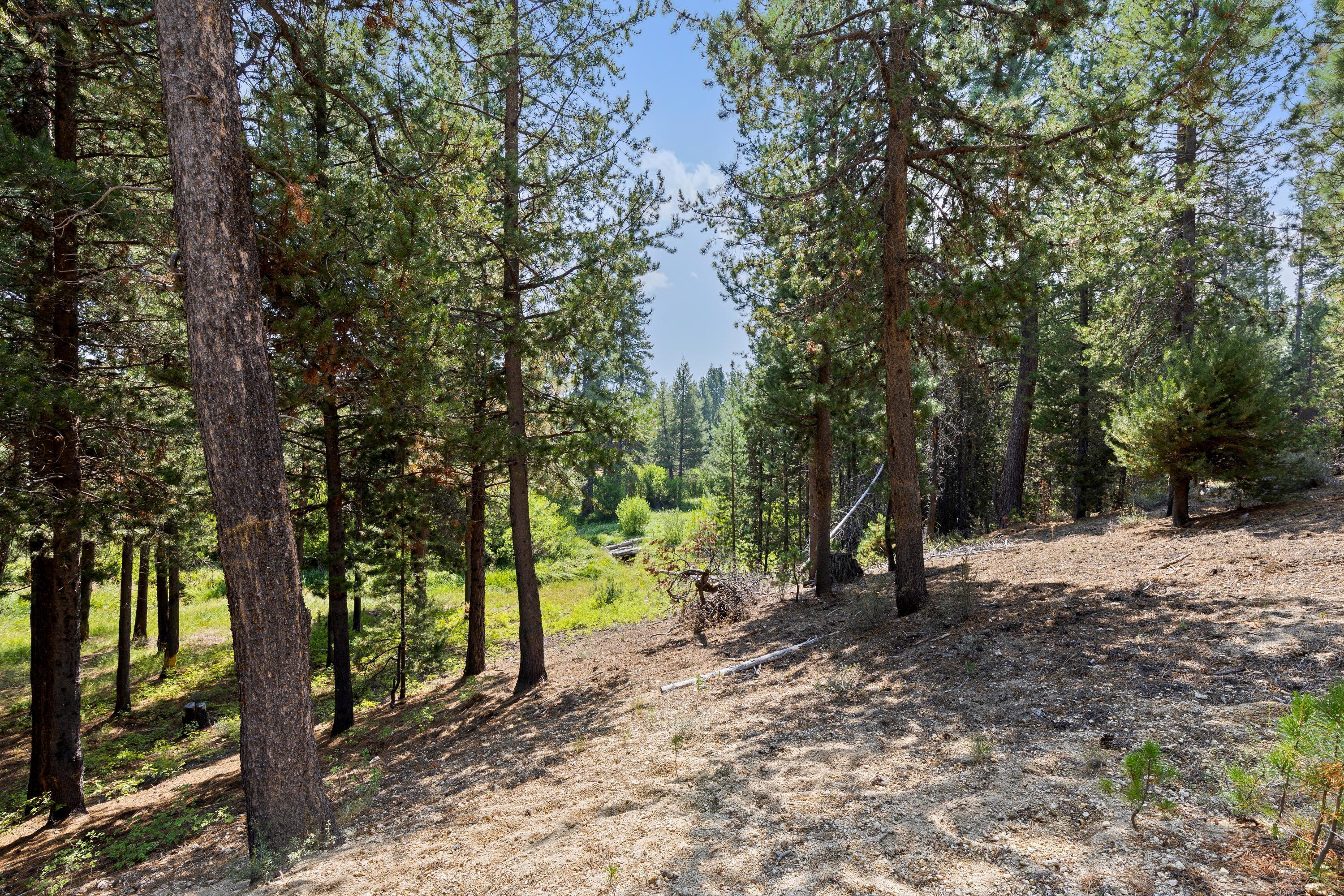 123819 2 Rivers Road Crescent Lake, OR 97733 - Photo 32 of 40 Backyard