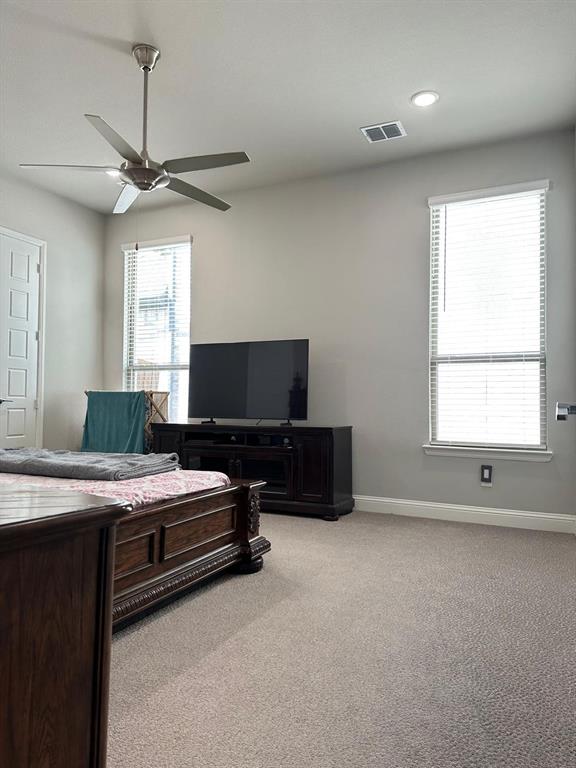 11433 Four Roses Trail Frisco, TX 75035 - Photo 15 of 29