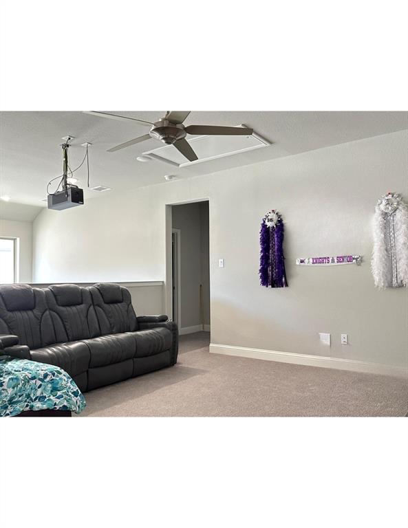 11433 Four Roses Trail Frisco, TX 75035 - Photo 23 of 29