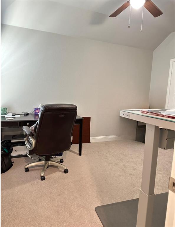 11433 Four Roses Trail Frisco, TX 75035 - Photo 28 of 29