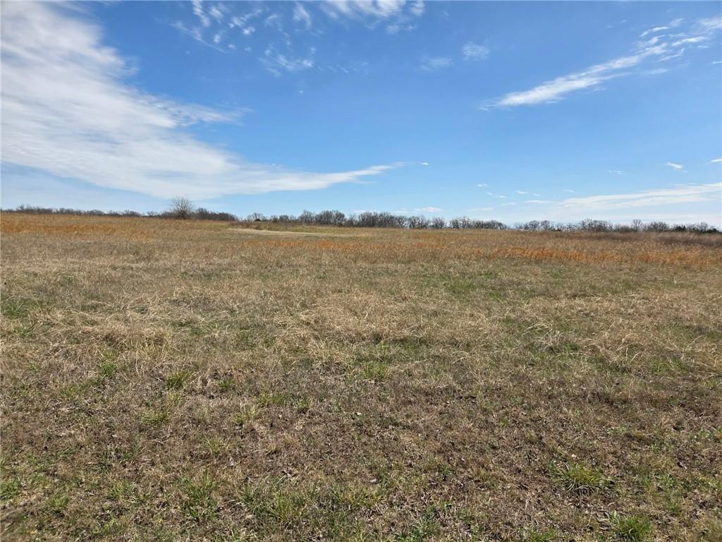 1449 Indian Road Fort Scott, KS 66701 - Photo 3 of 19