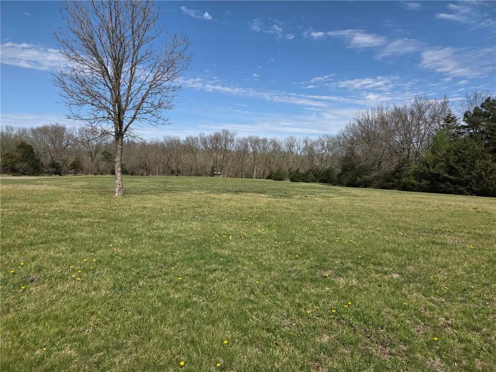 1449 Indian Road Fort Scott, KS 66701 - Photo 9 of 19