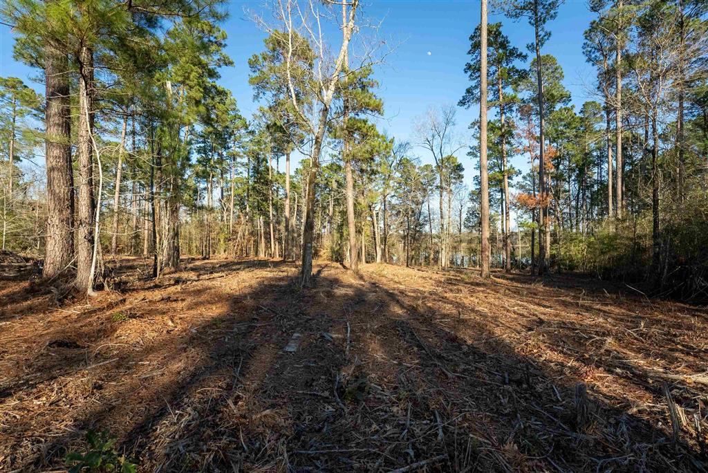Lazy Point Trail Many, LA 71449 - Photo 11 of 20