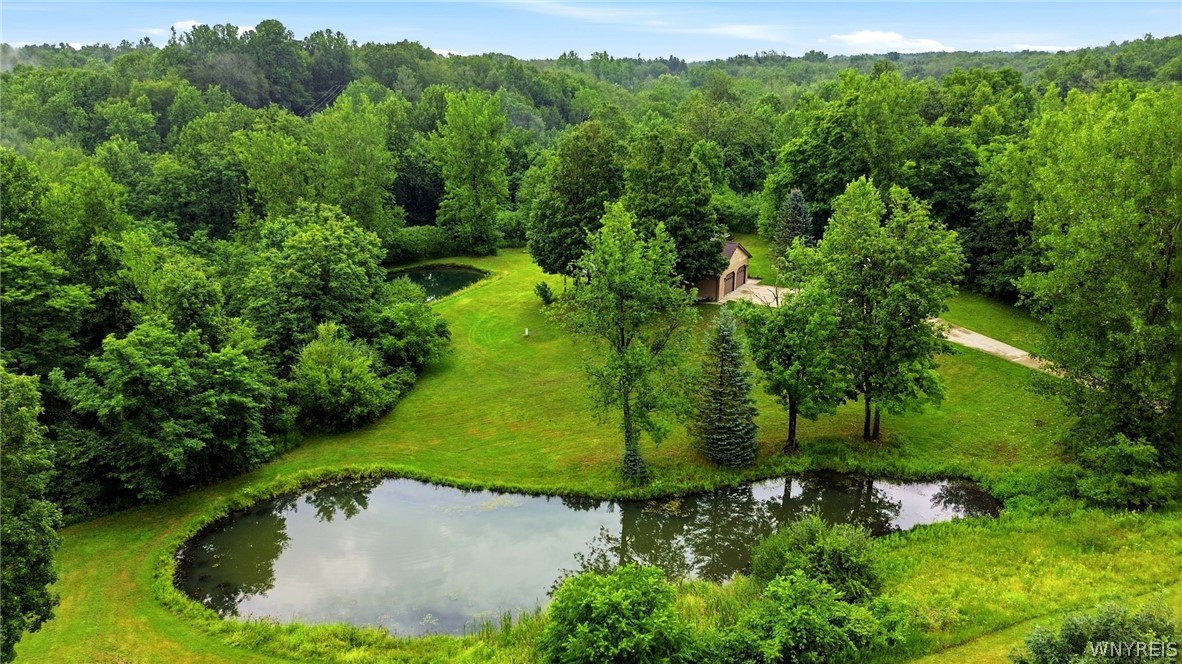 2328 Gowanda Zoar Road Collins, NY 14070 - Photo 4 of 50 Gallery Image 4