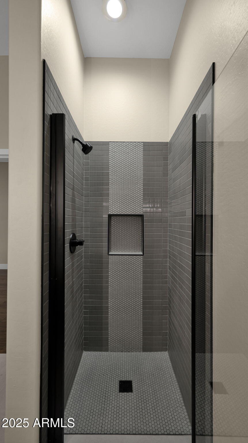 4060 East Canyon Way Chandler, AZ 85249 - Photo 38 of 55 a bathroom with a shower