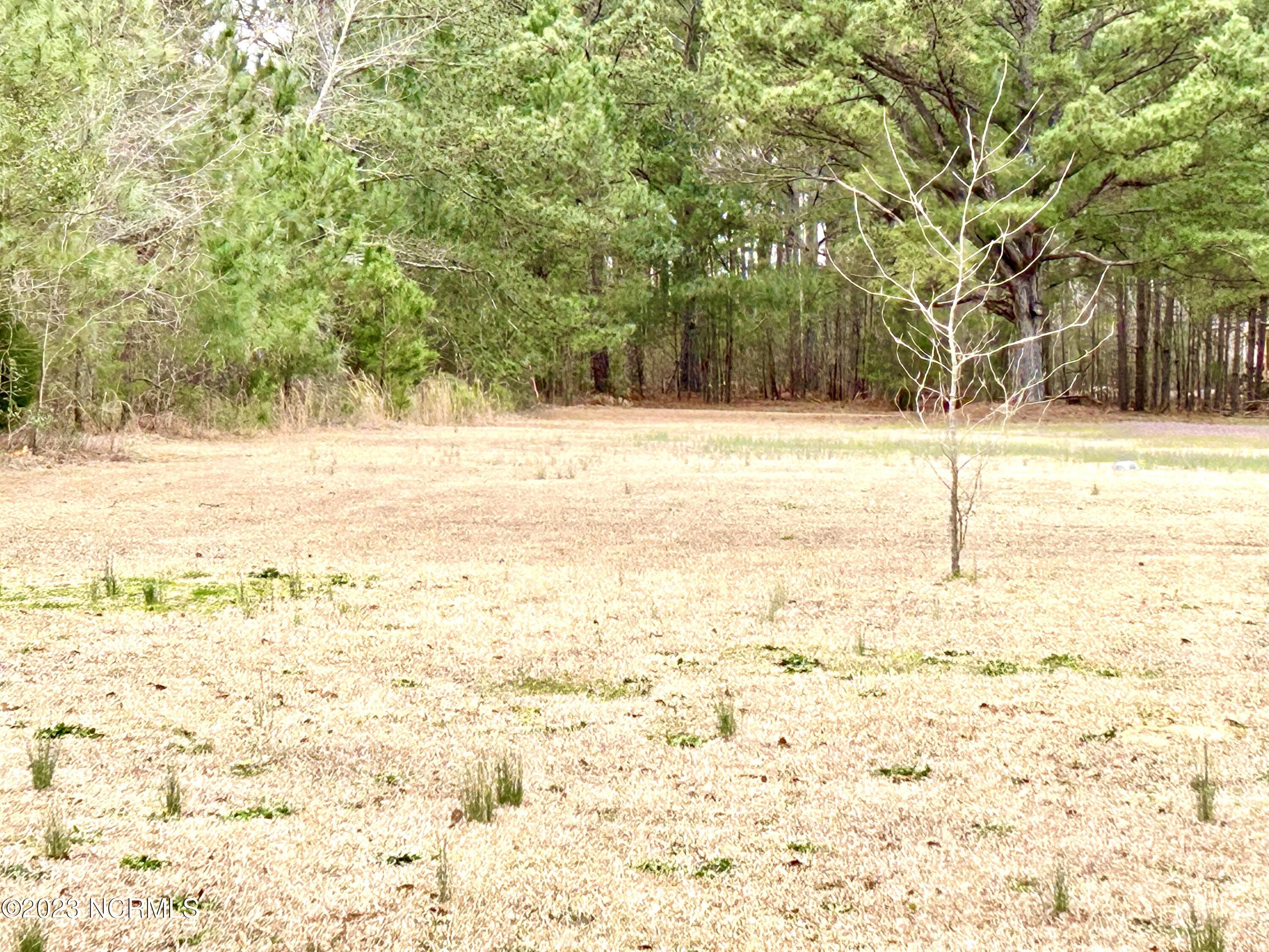 15060 Smith Road Gibson, NC 28343 - Photo 20 of 20 9C7FD2B8-7532-4B1B-AC77-F07393FC96D9