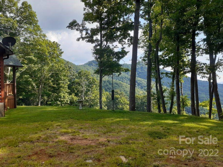 603 Wild Turkey Road Ferguson, NC 28624 - Photo 3 of 46 a view of a park