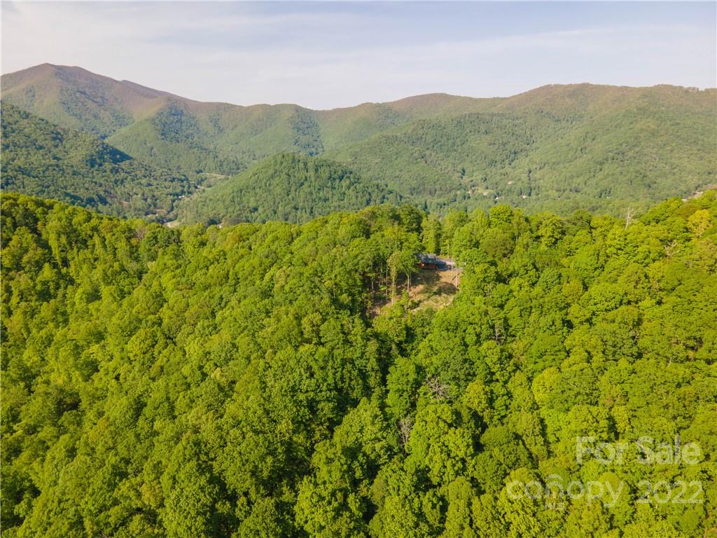 603 Wild Turkey Road Ferguson, NC 28624 - Photo 39 of 46 a view of a lush green hillside and a mountain