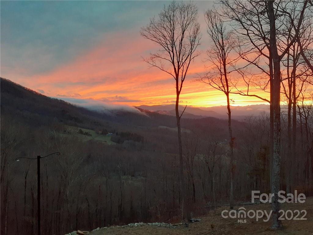 603 Wild Turkey Road Ferguson, NC 28624 - Photo 4 of 46