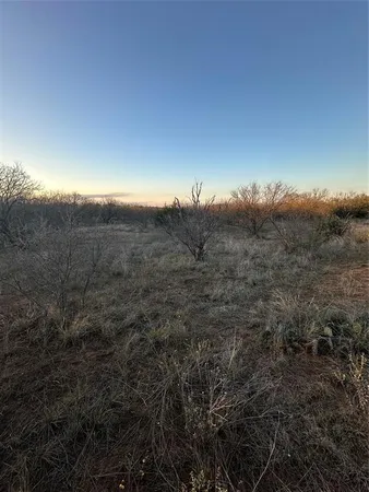 a view of a yard