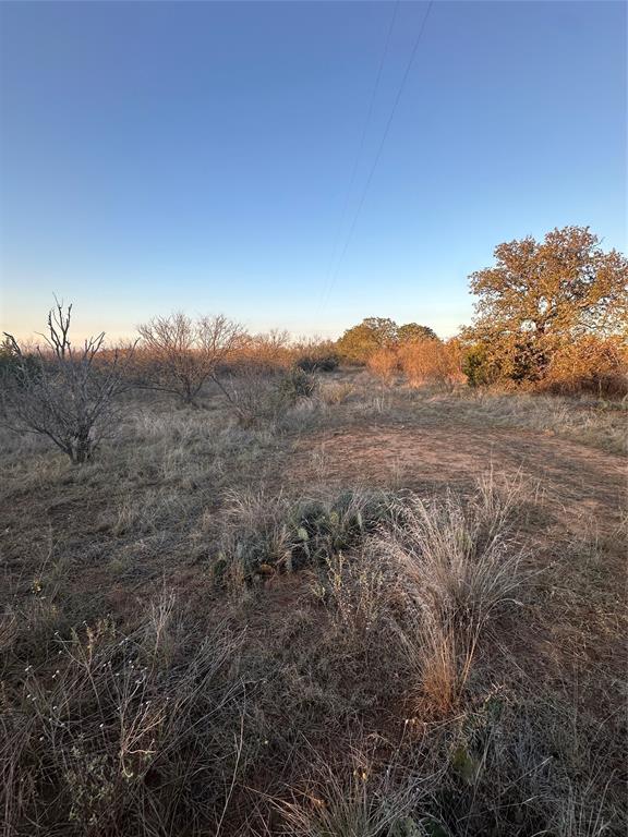80 Ranch Bangs Tx 76823 Ranch Bangs, TX 76823 - Photo 13 of 40 a view of a yard