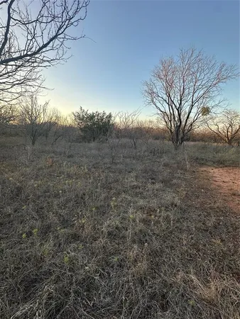 a view of a yard