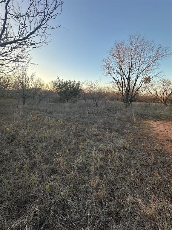 80 Ranch Bangs Tx 76823 Ranch Bangs, TX 76823 - Photo 17 of 40 a view of a yard with large trees