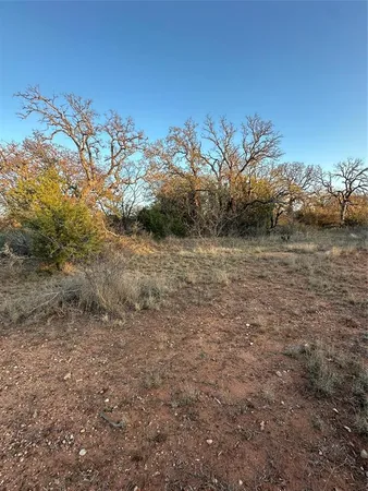 a view of a yard with a tree