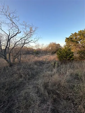 a view of a yard with a tree