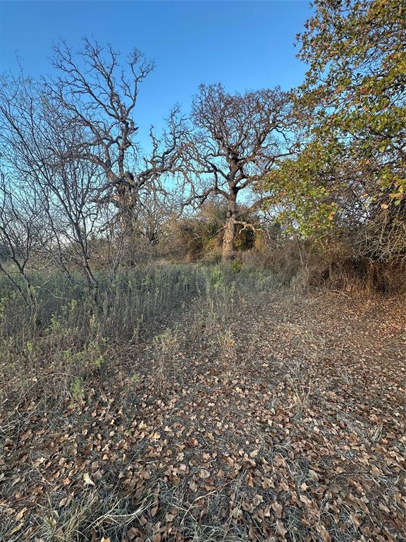 80 Ranch Bangs Tx 76823 Ranch Bangs, TX 76823 - Photo 20 of 40 a view of a yard with a tree