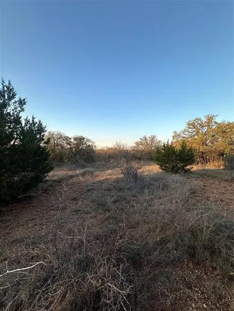 a view of mountain view with large trees